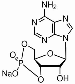 環(huán)腺苷酸鈉