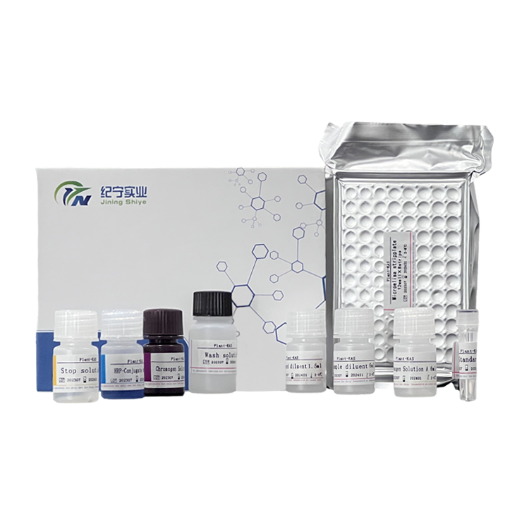 大鼠磷酸化信號傳導子及轉錄激活子3(p-STAT3)ELISA試劑盒