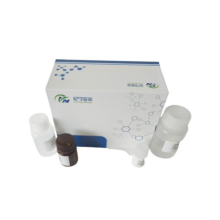 蛋白質總巰基含量檢測試劑盒/100T