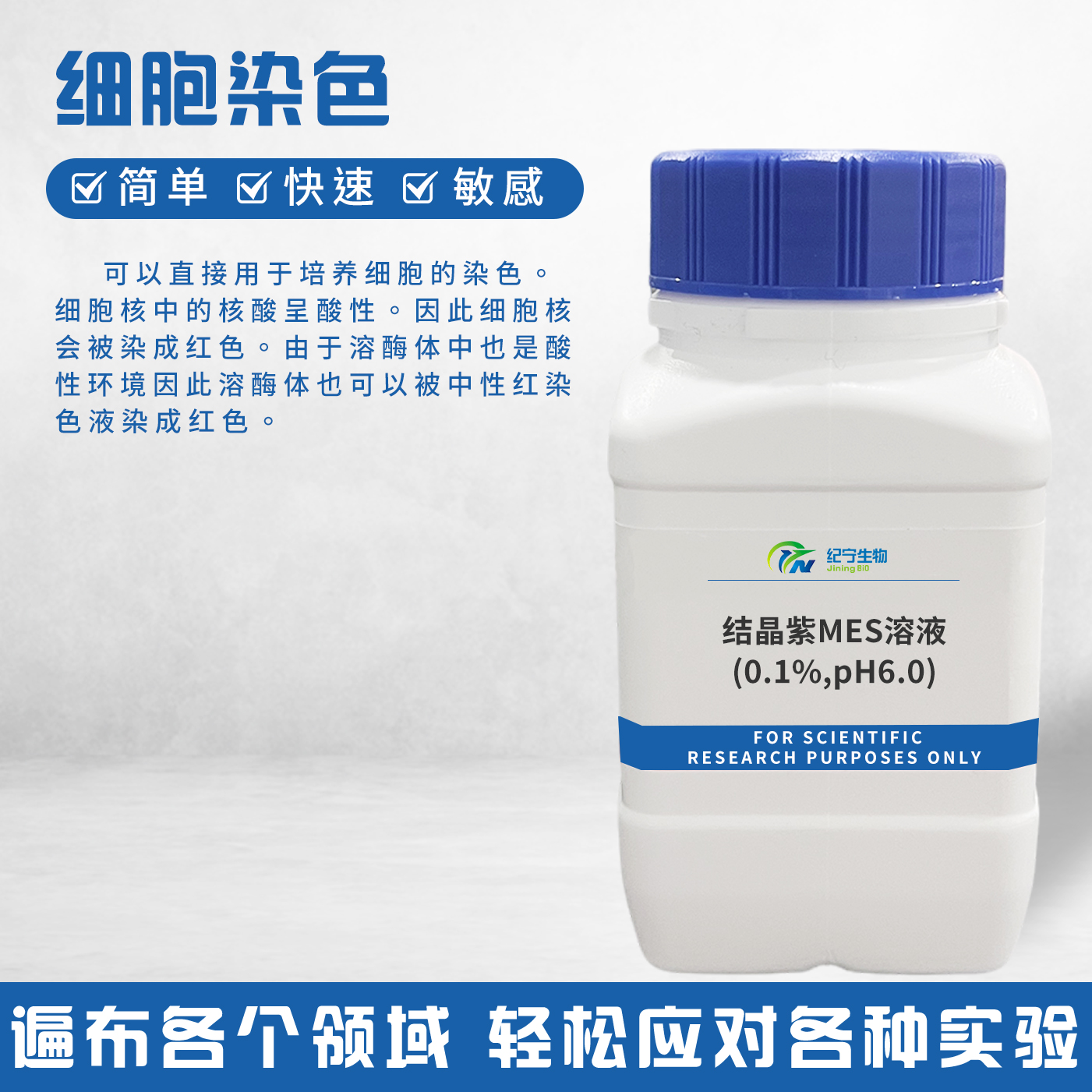結晶紫MES溶液(0.1%,pH6.0)