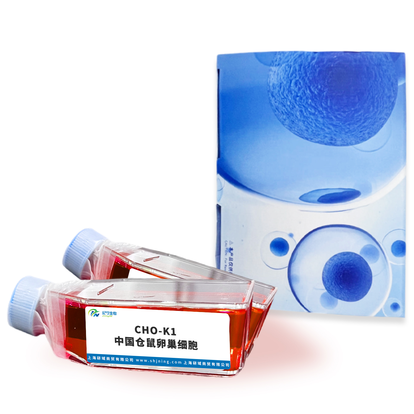 CHO-K1中國倉鼠卵巢細(xì)胞