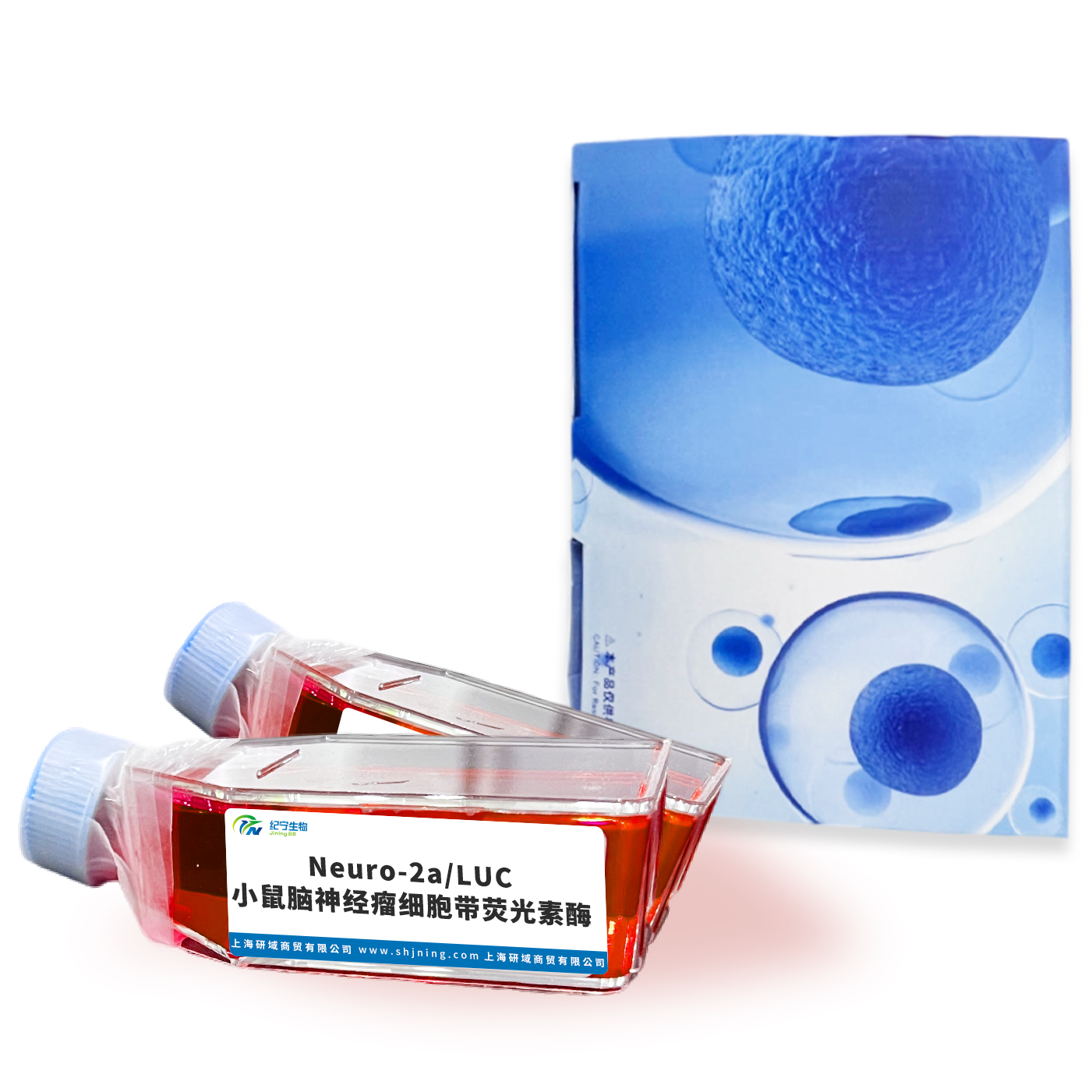 Neuro-2a/LUC小鼠腦神經(jīng)瘤細(xì)胞帶熒光素酶